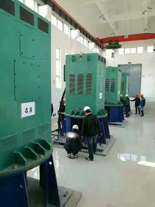 延边朝鲜族某污水处理厂使用我厂的立式高压电机安装现场