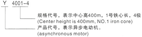 西安泰富西玛Y系列(H355-1000)高压延边朝鲜族三相异步电机型号说明